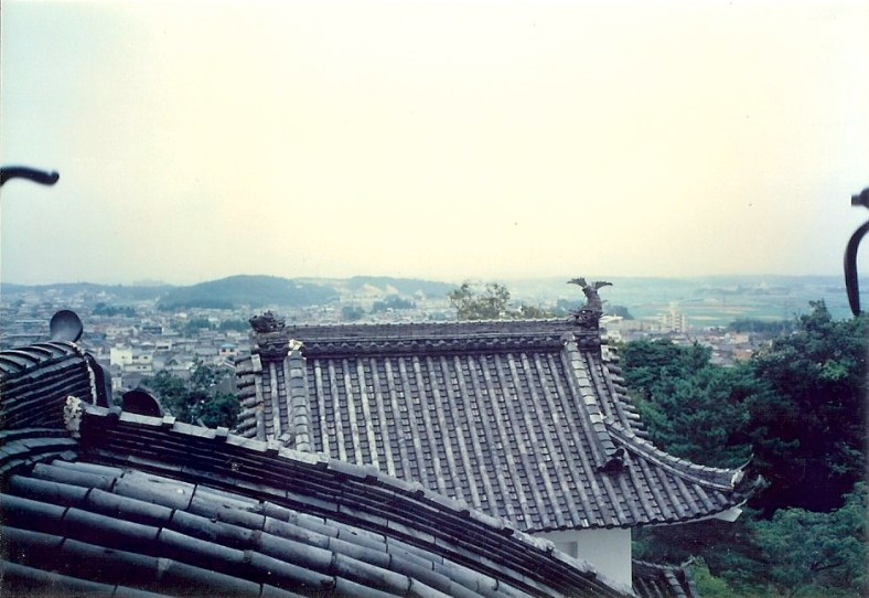 Iga Castle - Roof